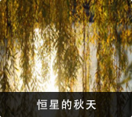 恒星的秋天